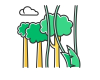 النانوسليلوز