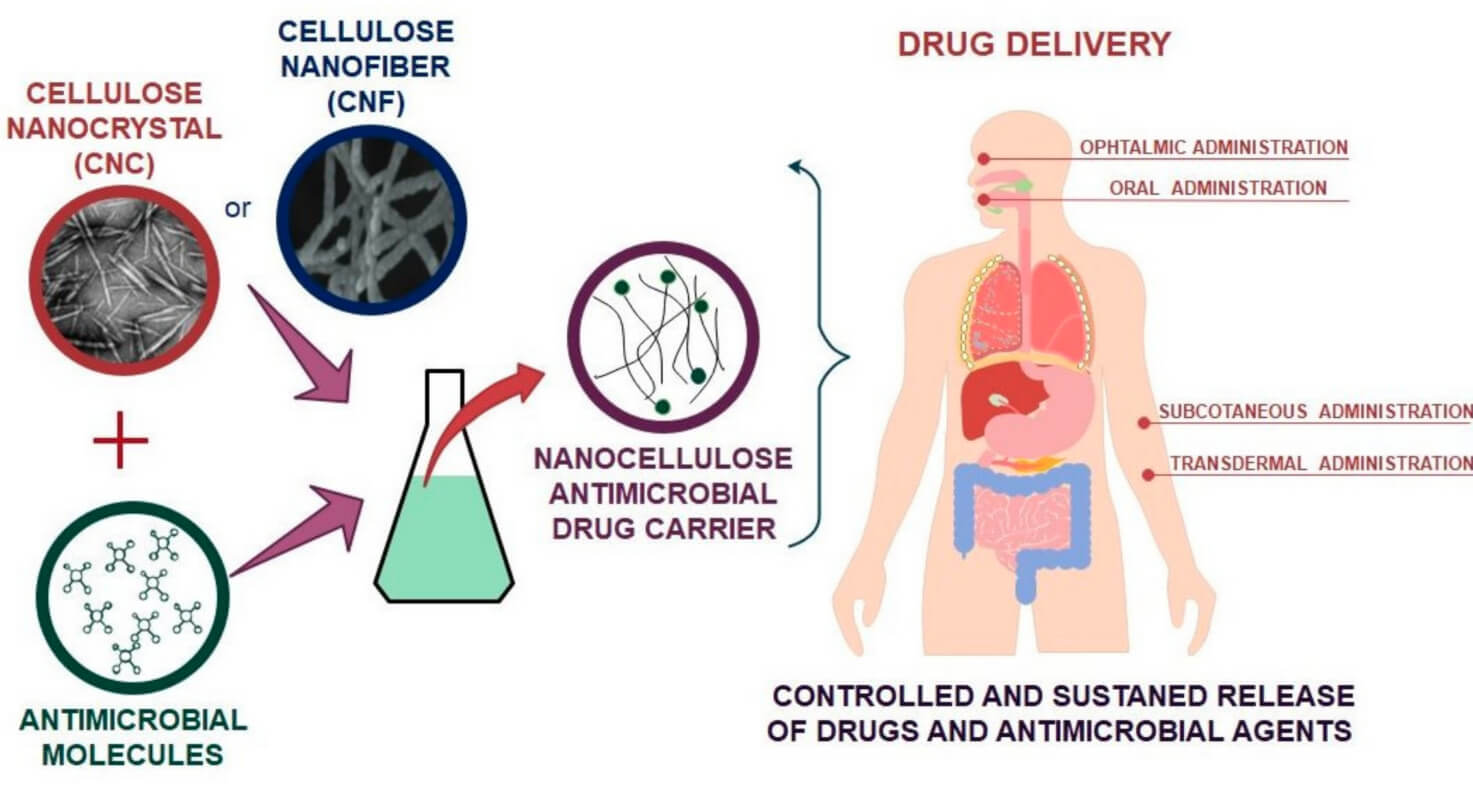 Nanocellulose in drug delivery systems