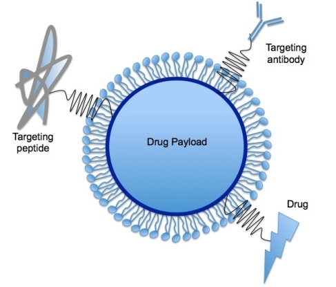 Solid Lipid Nanoparticle 