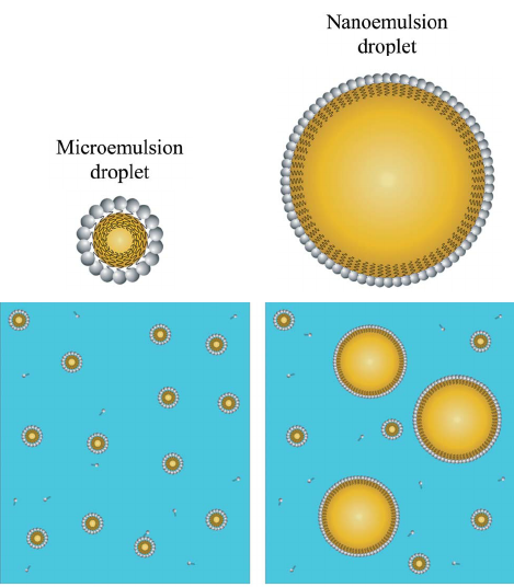 Nanoemulsion droplet image - vector