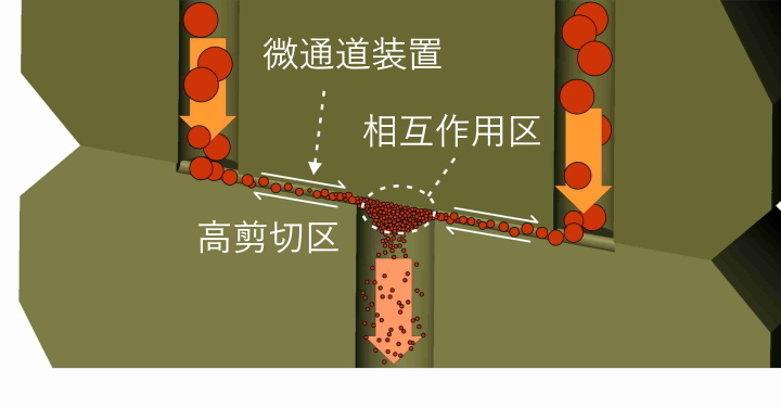 Homogenizer valve - both Piston Gap and Micro Channel